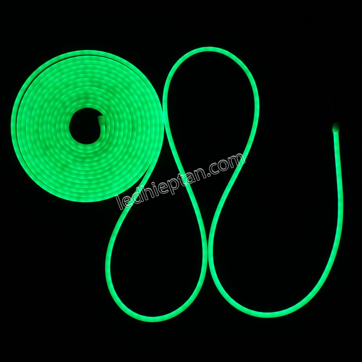 Cuộn LED neon LÁ 5m Lota