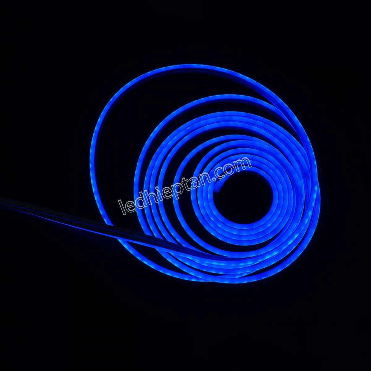 Cuộn LED neon DƯƠNG 5m Lota