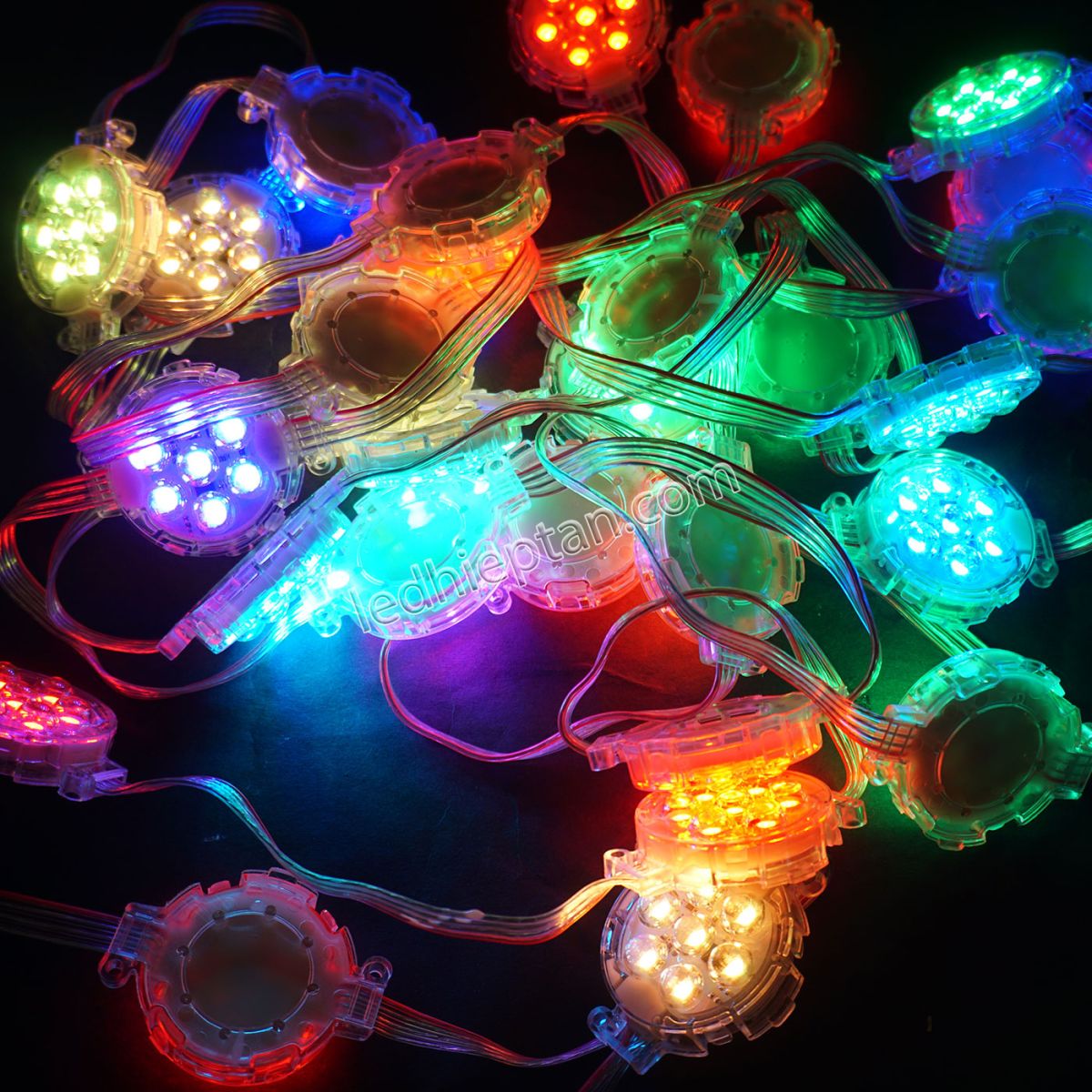 LED bát ARGB 50mm IC8206 24V LL
