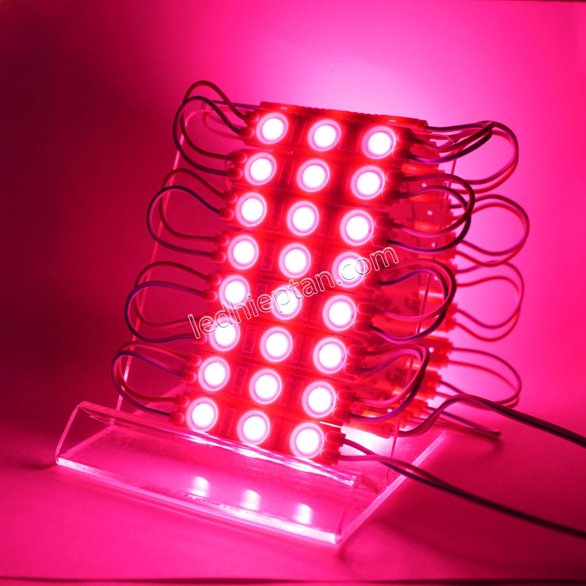 Module 3 bóng 6113 SMD 2835 tim Hồng LR