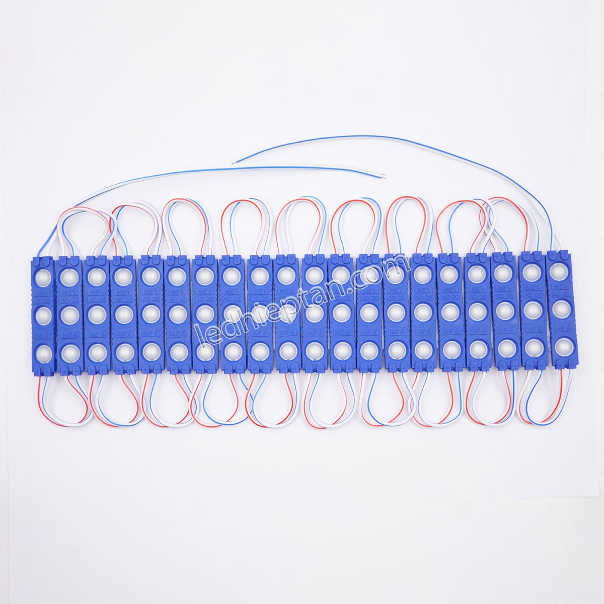 Module 3 bóng Dương SMD2835 6113-A len đục LR