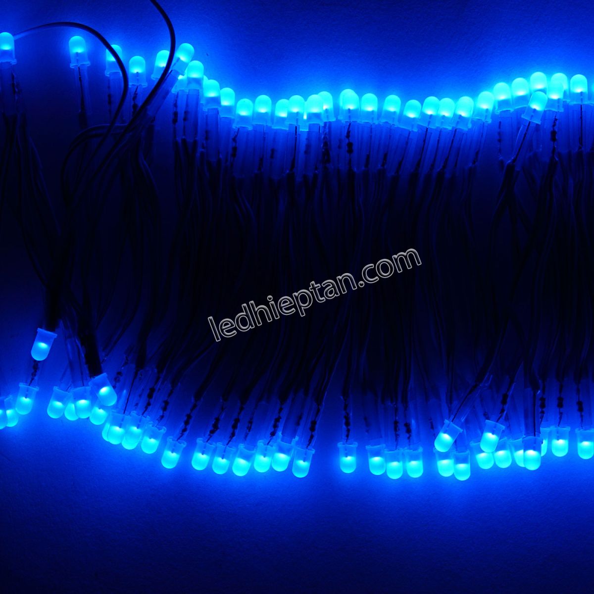 Bịch LED ruồi 5mm 5V DƯƠNG LR
