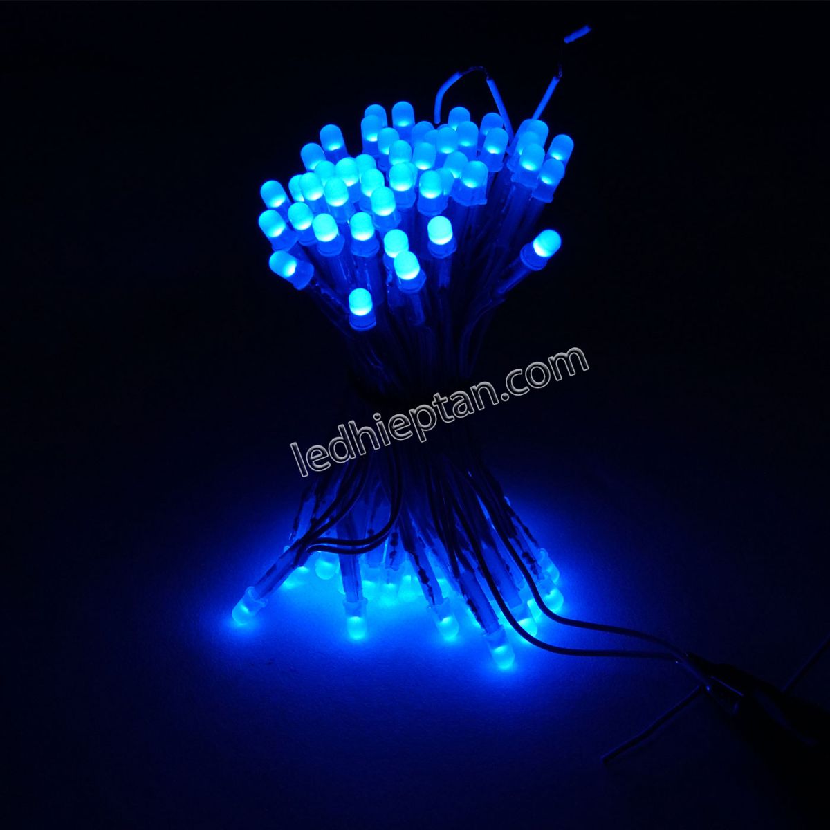 Bịch LED ruồi 5mm 5V DƯƠNG LR