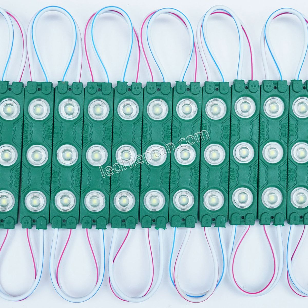Module 3 bóng đúc 6113 LÁ tim 2835 LR
