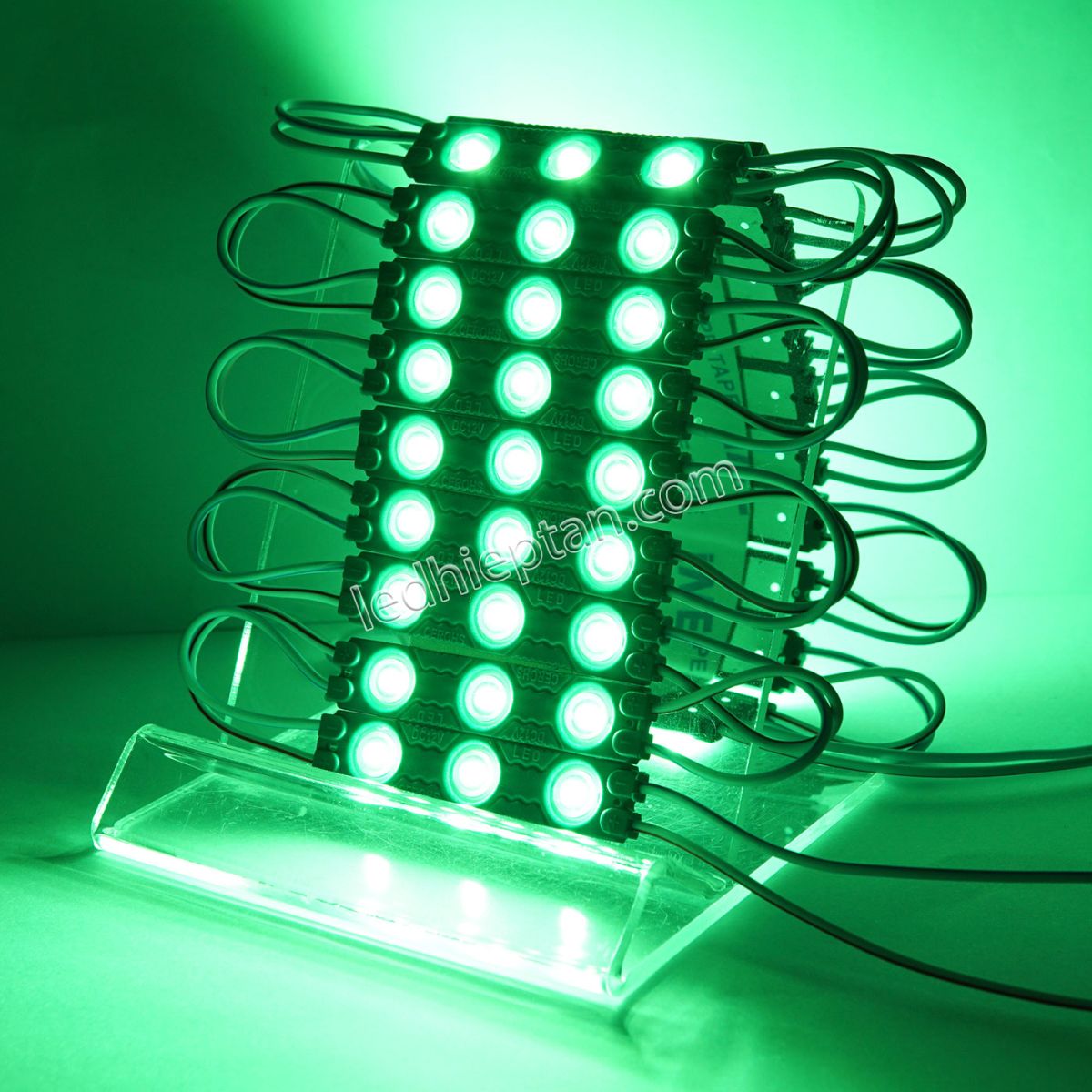 Module 3 bóng đúc 6113 LÁ tim 2835 LR