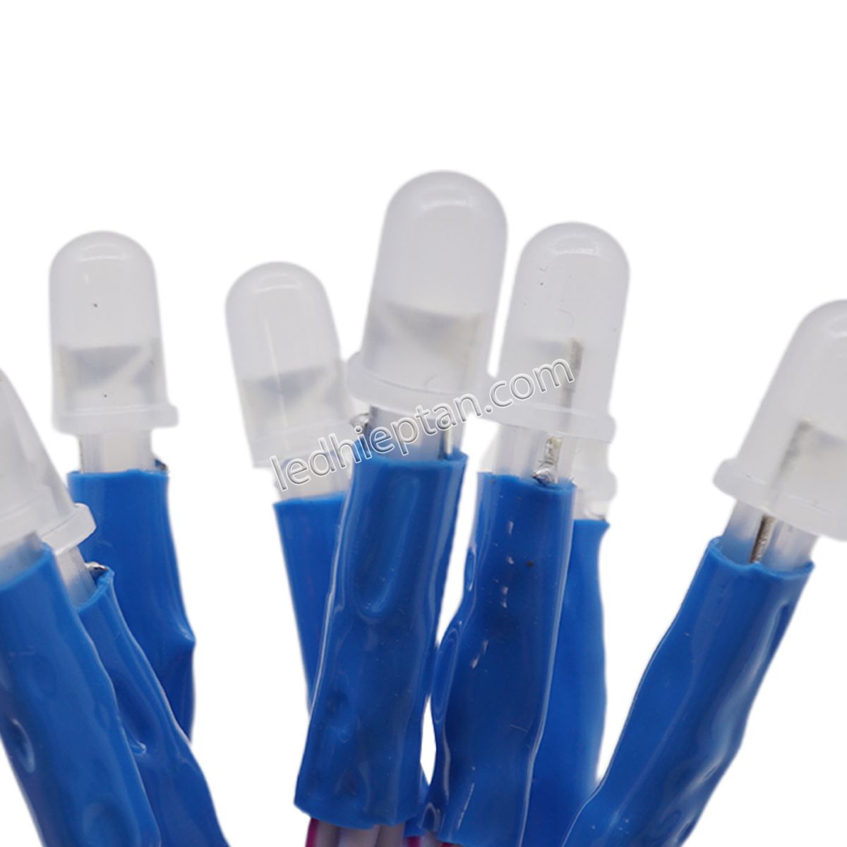 Bịch led ruồi 12v DƯƠNG LR