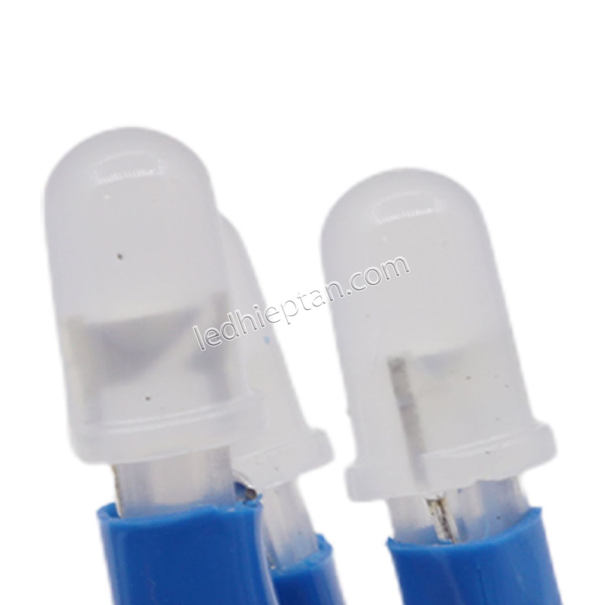 Bịch led ruồi 12v DƯƠNG LR