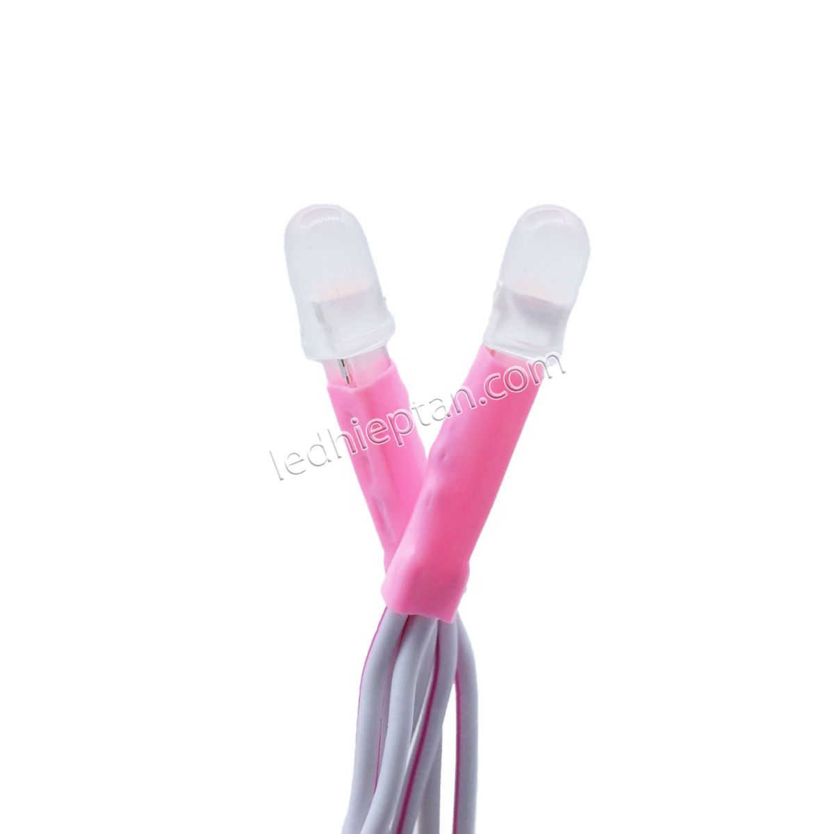 Bịch LED ruồi 12v HỒNG LR