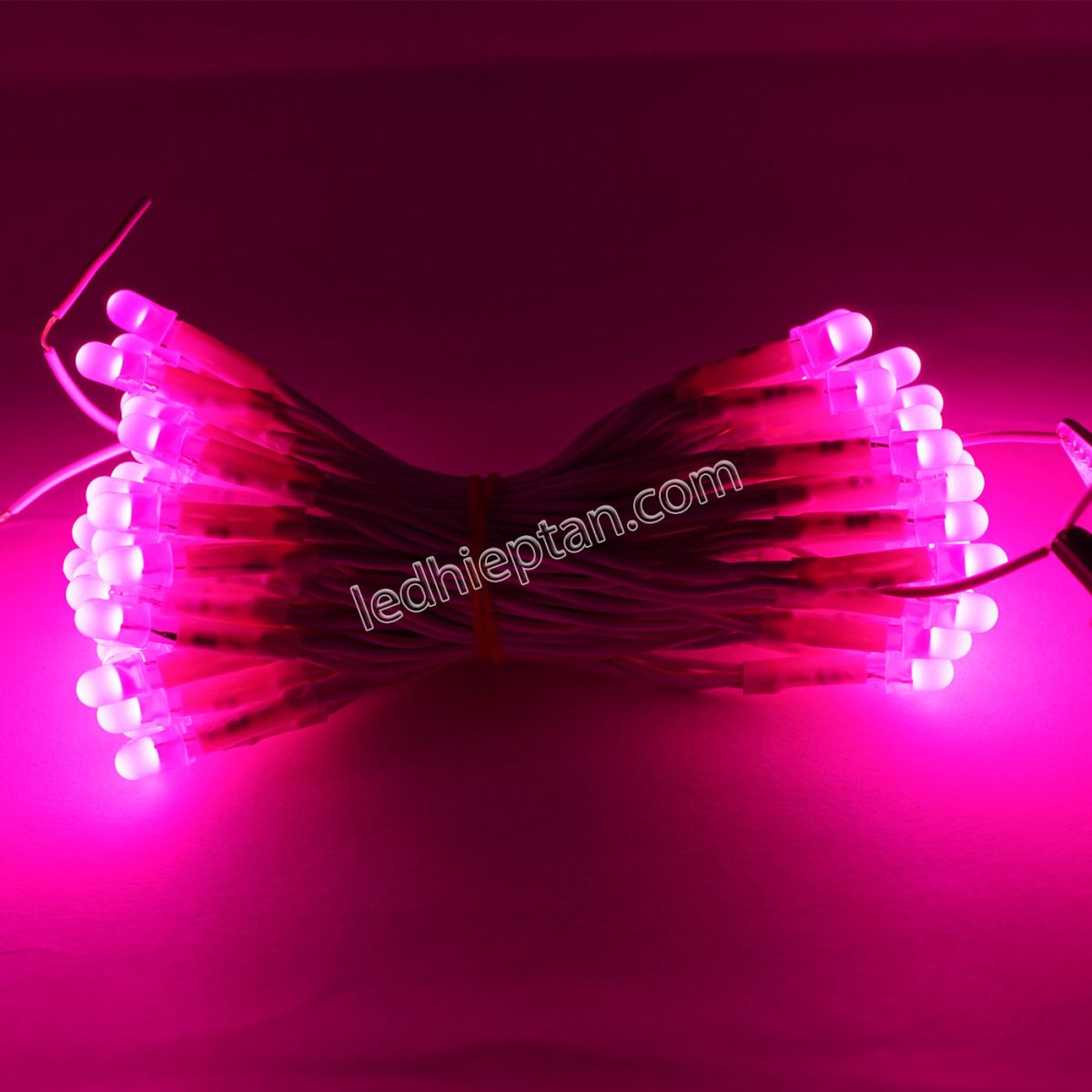 Bịch LED ruồi 12v HỒNG LR