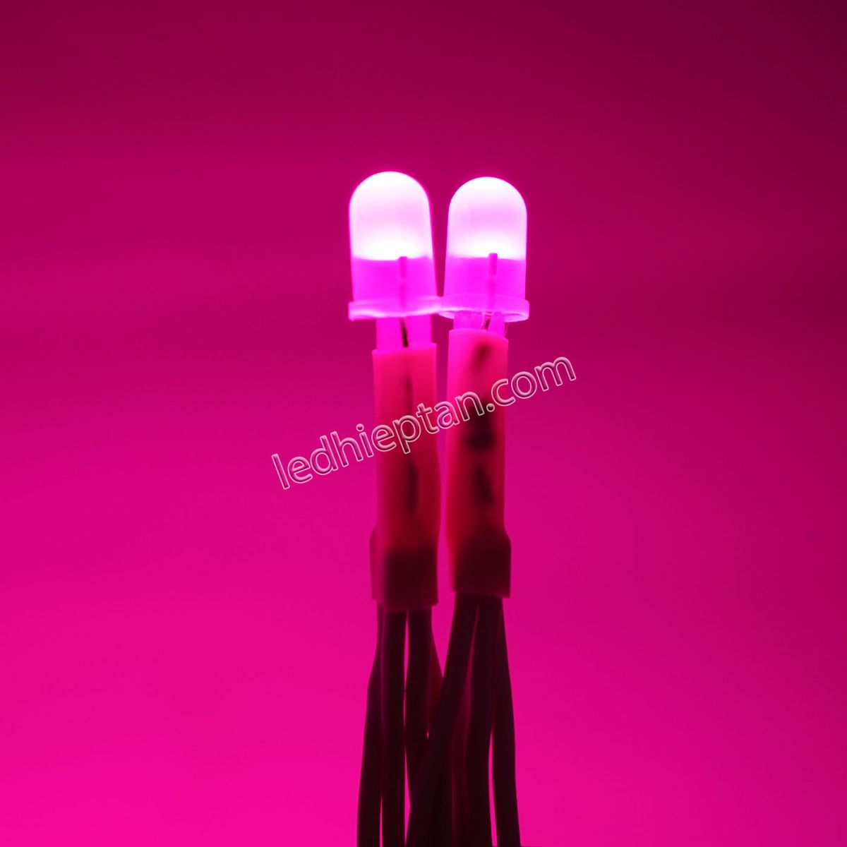 Bịch LED ruồi 12v HỒNG LR