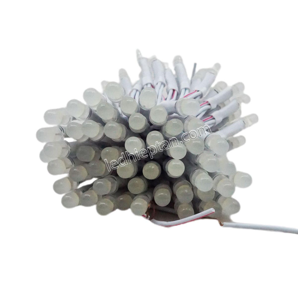 Bịch LED ruồi 12v TRẮNG LR