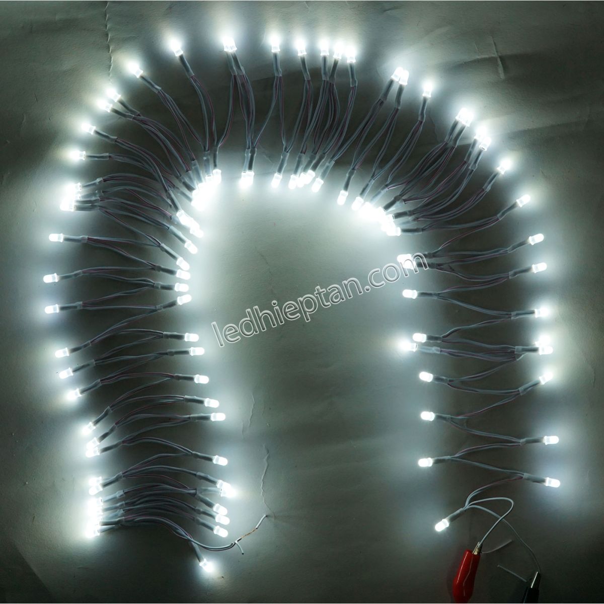 Bịch LED ruồi 12v TRẮNG LR