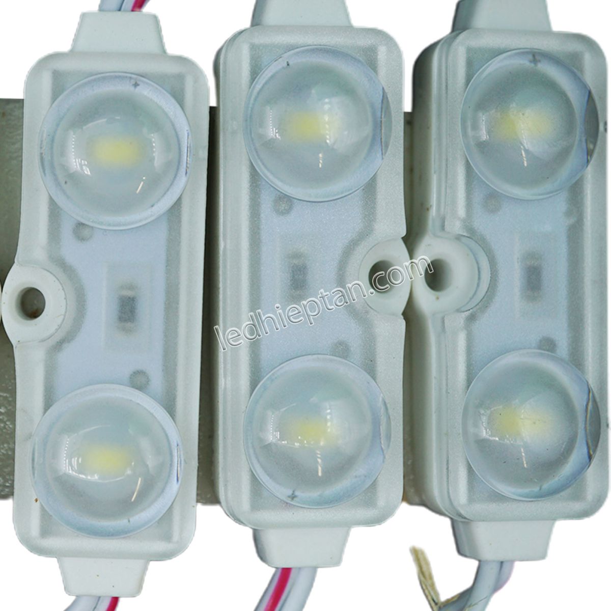 Module LED 2 bóng trắng LOTO