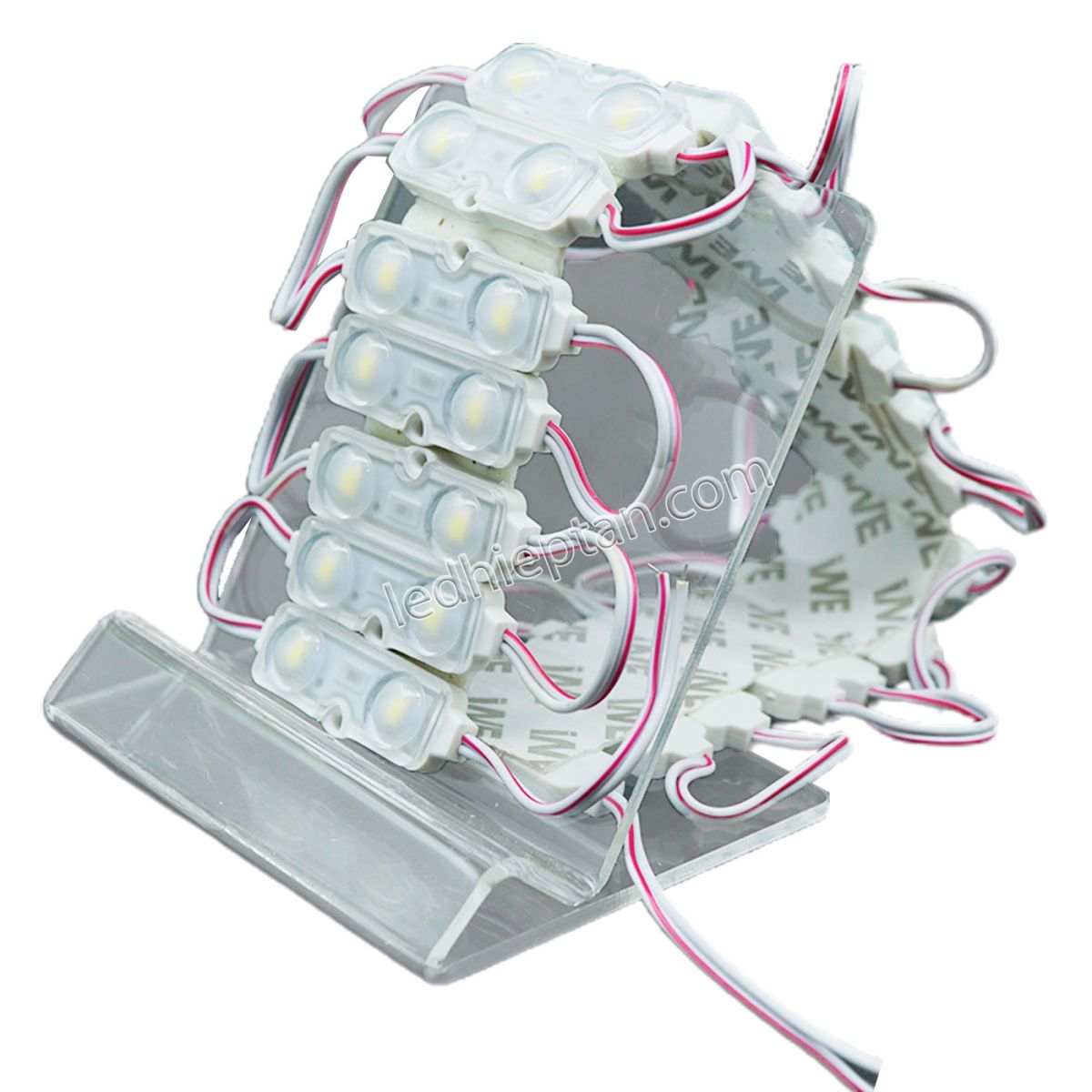 Module LED 2 bóng trắng LOTO