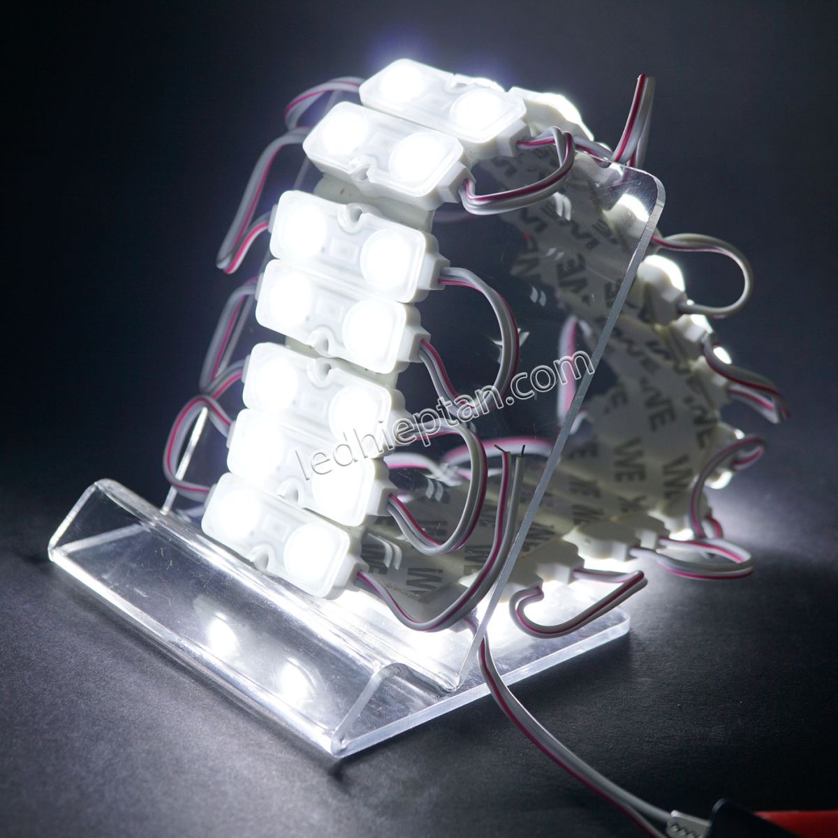 Module LED 2 bóng trắng LOTO