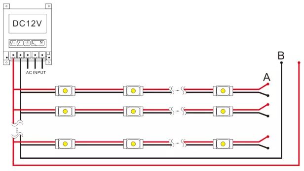Module 3 bóng Hồng