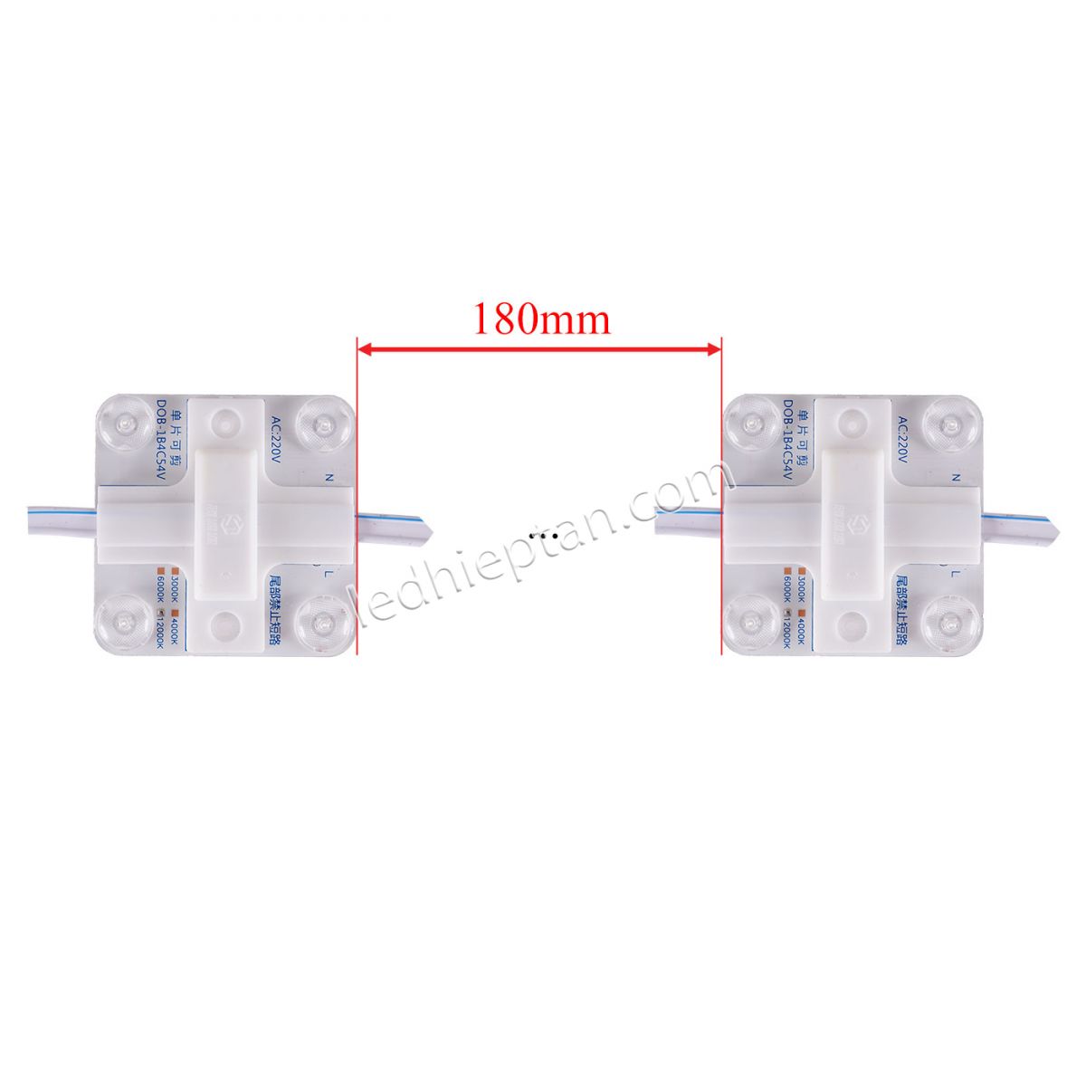 Module 4 bóng 220V bốn lõi TY