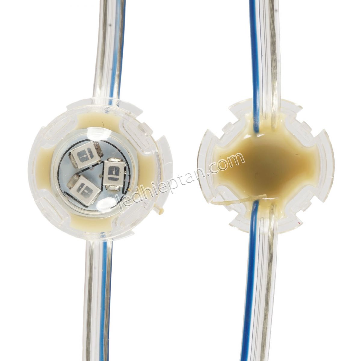 F20 12V xanh dương