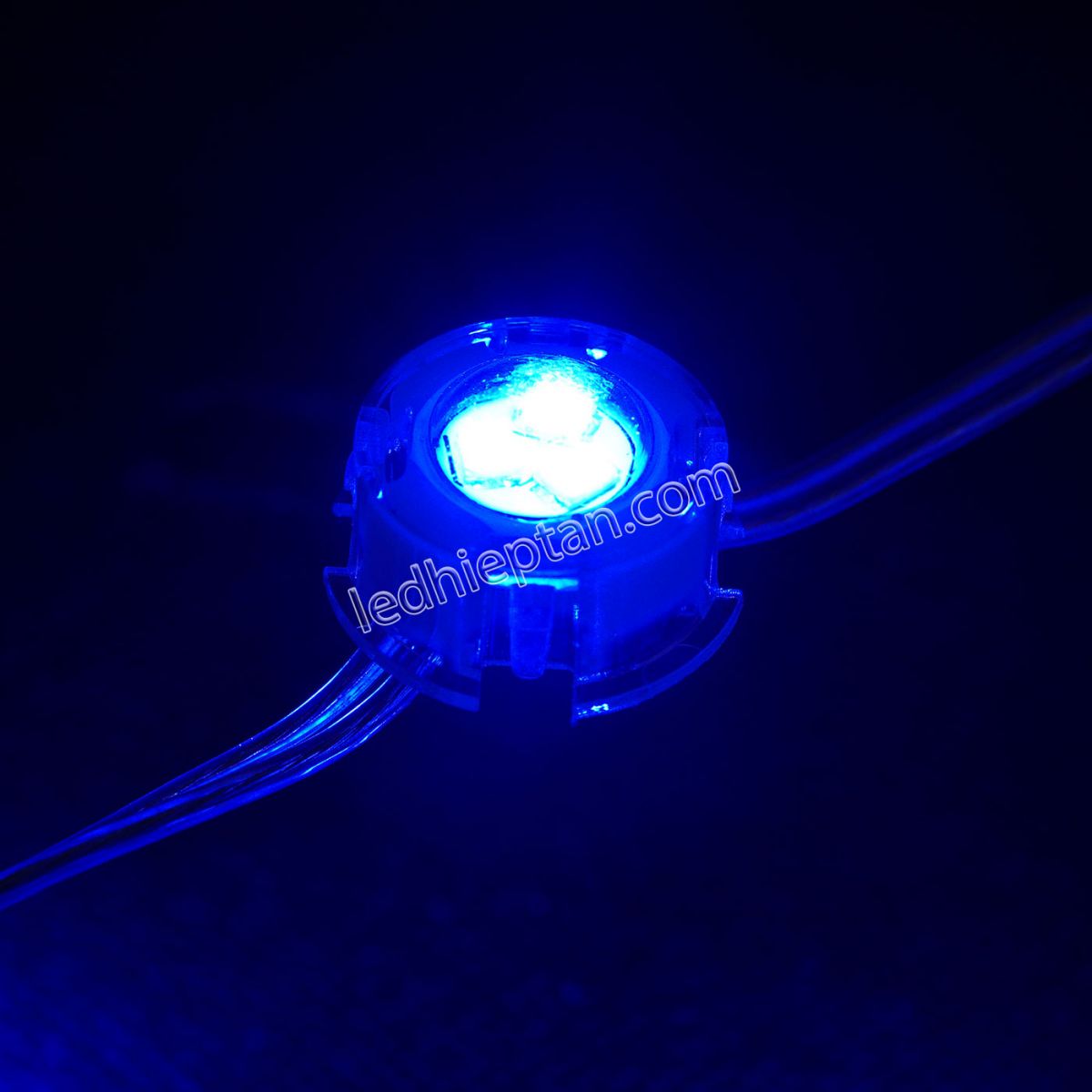 F20 12V xanh dương