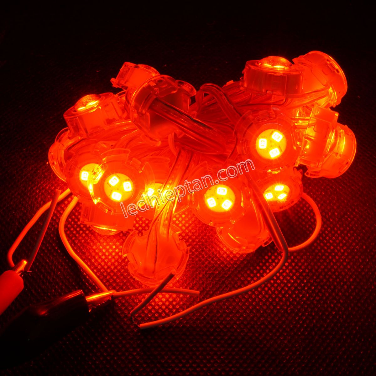 F20 12V đỏ